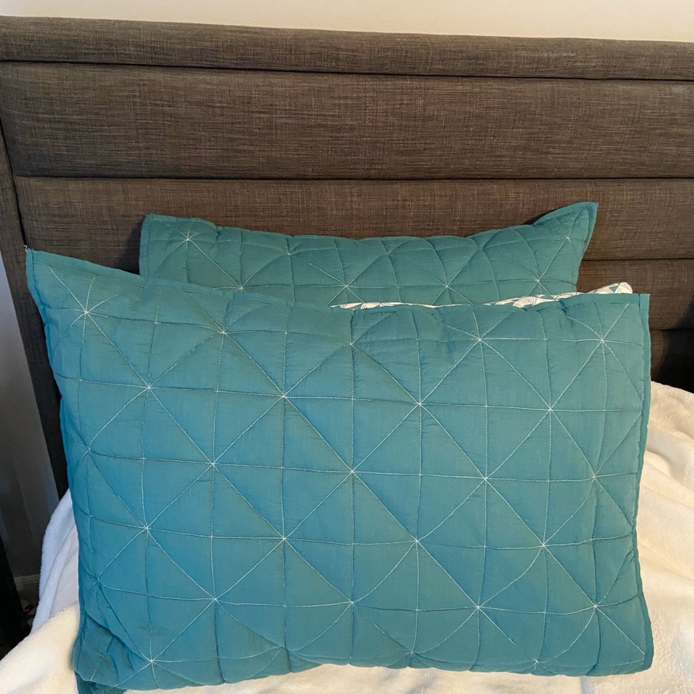 West Elm Organic Cotton Pillow Shams